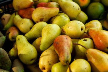 Pazar tezgahında bir sürü sulu olgun armut var. Doğadan gelen vitaminler ve sağlık.