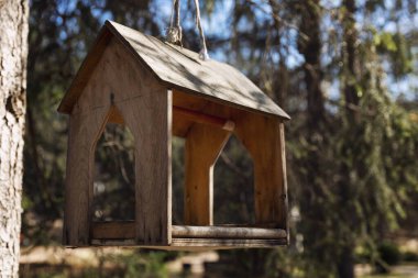 Güneşli bir günde ormandaki ahşap kuş evi. Sevdiklerinle ilgilenmek. Yakın plan..