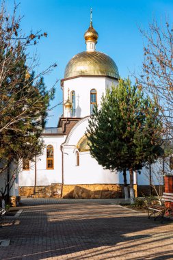 Güneşli bir günde açık mavi gökyüzünün zeminine karşı güzel bir sonbahar parkında beyaz duvarları olan ortodoks kilisesi. Din ve İnanç. Dikey.