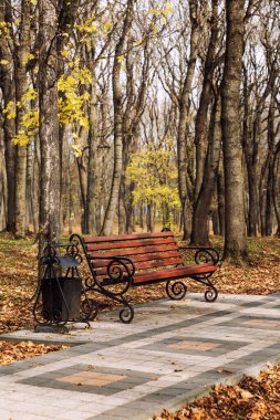 Güzel bir sonbahar parkında ahşap bir bank. Altın mevsimde yürümek ve dinlenmek. Dikey.