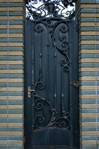 Una Hermosa Puerta Hierro Forjado Negro Entrada Casa Vista Frontal —  Fotos de Stock