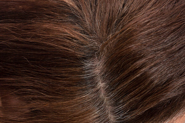 Regrown dark gray hair roots. Taking care of yourself in adulthood. Close-up.