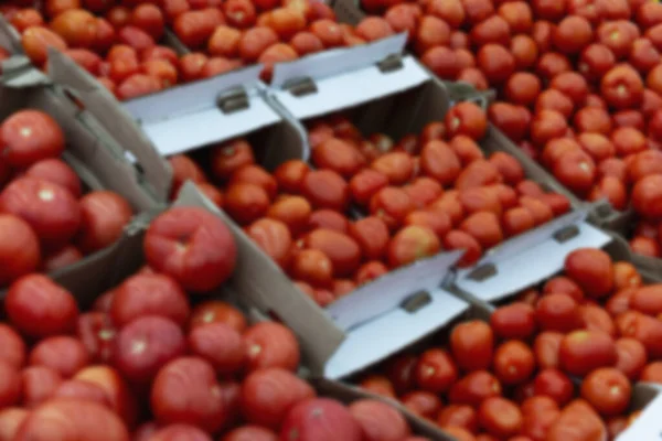 Tomates Frescos Mostrador Tienda Alimentos Saludables Vegetarianismo Borrosa Contexto —  Fotos de Stock