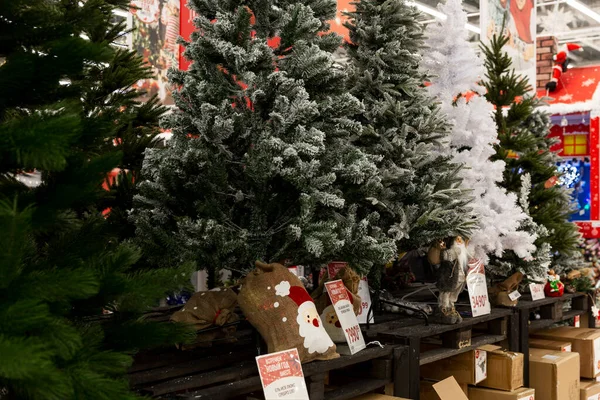 Mağazada Noel ağacı satışı. Geleneksel kış tatili. Moskova, Rusya, 12-17-2021.