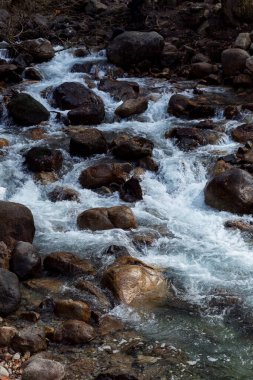 Taştan bir kıyısı olan fırtınalı bir nehir. Güzel manzara. Dikey.
