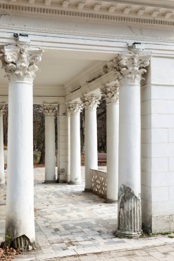 Beyaz tavan arası sütunlu kemer. Tarih ve yeniden yapılanma. Dikey.
