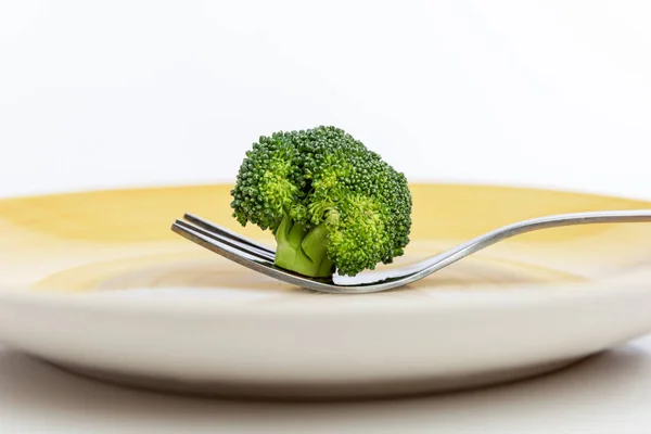 Ett Litet Broccolihuvud Gaffel Tallrik Kost Och Viktminskning Vegetarianism Och — Stockfoto