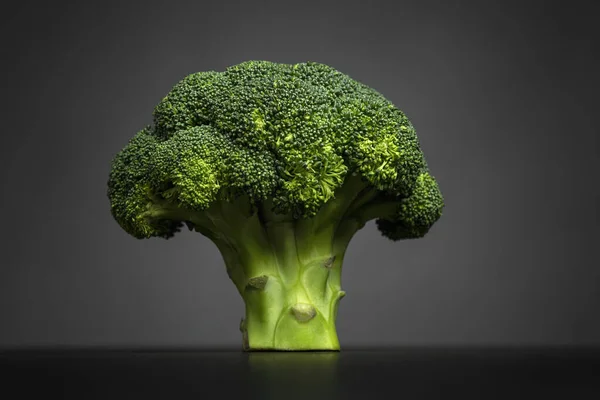 Head Broccoli Bright Juicy Vegetable Gray Background Vegetarianism Healthy Nutrition — Stock Photo, Image