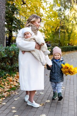 Anne ve küçük çocukları sonbahar parkında yürüyüşe çıkmış. Bir buket akçaağaç yaprağı olan tatlı bir kız. Dikey.