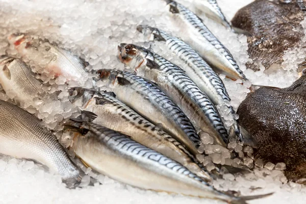 Frisch Gekühlter Makrelenfisch Auf Eis Laden Gesunde Ernährung Und Ernährung — Stockfoto