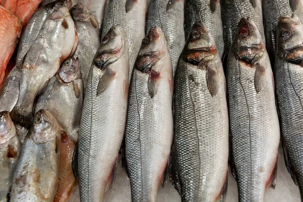 Frisch Gekühlter Fisch Auf Eis Auf Der Ladentheke Gesunde Ernährung — Stockfoto