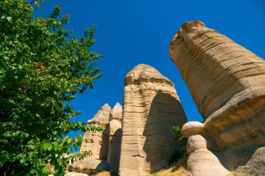 Kapadokya 'daki Peri Bacalari veya Peri Bacalari. Gorkundere Vallay, Goreme 'de. Türkiye 'de turizm. Kapadokya 'da yürüyüş yolları.
