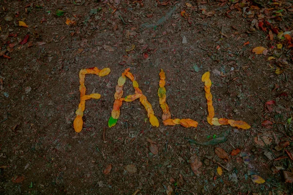 Texto de otoño escrito con hojas marrones en el suelo del bosque. Concepto de otoño — Foto de Stock