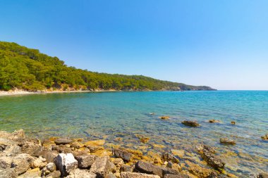 Antalya Türkiye 'nin Phaselis Antik Kenti' nin kuzey limanı. Türk Rivierası. Türkiye 'nin Akdeniz kıyıları. Türk Rivierası 'nda turizm ve tatil. Orman kaplı tepeler ve berrak su koyları.