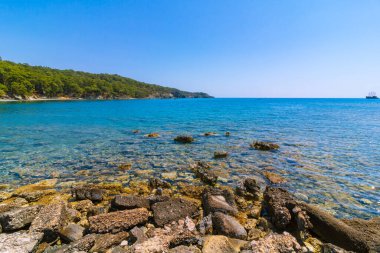 Antalya Türkiye 'nin Phaselis Antik Kenti' nin kuzey limanı. Türk Rivierası. Türkiye 'nin Akdeniz kıyıları. Türk Rivierası 'nda turizm ve tatil. Orman kaplı tepeler ve berrak su koyları.