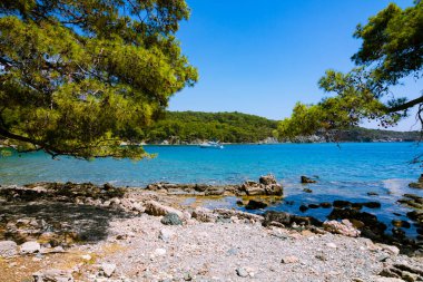 Antalya Türkiye 'nin Phaselis Antik Kenti' nin kuzey limanı. Türk Rivierası. Türkiye 'nin Akdeniz kıyıları. Türk Rivierası 'nda turizm ve tatil. Orman kaplı tepeler ve berrak su koyları.