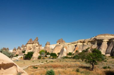 Pasabagi, Kapadokya 'da. Pasabagi 'de peri bacalari ya da peri bacalari. Kapadokya arka plan fotoğrafı. Türkiye 'ye Seyahat.