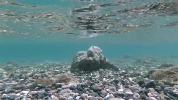 Under vattnet. Kristallklara sjökort från havsbotten — Stockvideo
