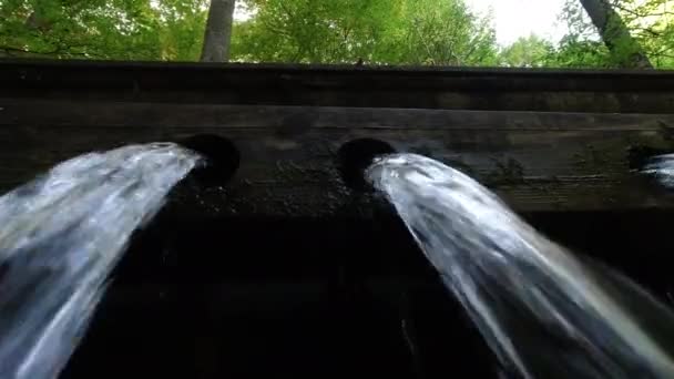 Pití fontány. Voda tekoucí z dřevěné fontány v lese — Stock video