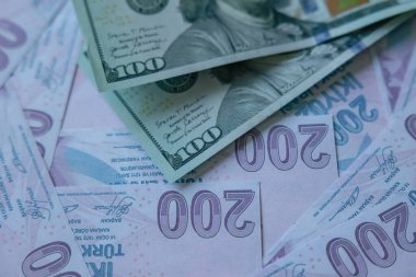 Türk lirası. Türk Liralarının Devalüasyonu. Türkiye 'de ekonomik kriz. Seçici odak. 