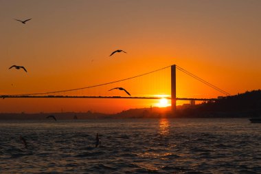 Boğaz köprüsü. İstanbul 'da Boğaz Köprüsü' nün silueti ve martılar. İstanbul 'da gün batımı fotoğrafı.