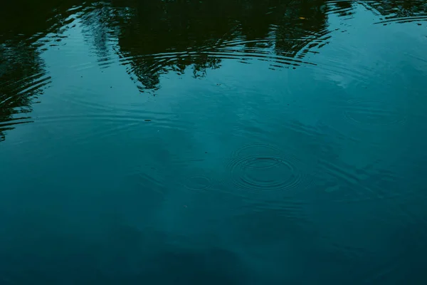 落下円 森の中の湖の上の小さな雨滴の円 ムーディーのコンセプト背景写真 — ストック写真