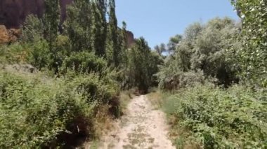 Ihlara Vadisi. POV, Aksaray 'daki Ihlara Vadisi' nde yürüyor. Ormanda yürüyüşün 4K görüntüsü.