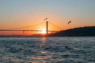 İstanbul arka plan fotoğrafı. Günbatımında Boğaz Köprüsü ve martılar. Günbatımında İstanbul Silueti.