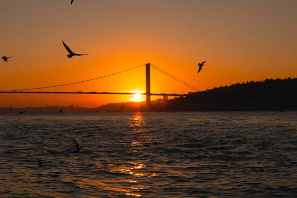 İstanbul arka planı. Günbatımında İstanbul Köprüsü 'nün Silueti ve Şehir Manzarası. Türkiye 'ye seyahat arkaplan fotoğrafı.