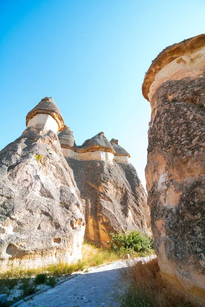 Pasabagi Pasabagi Cappadocia Fairy Chimneys Hoodoos Cappadocia Traveling Turkey Background — Foto Stock
