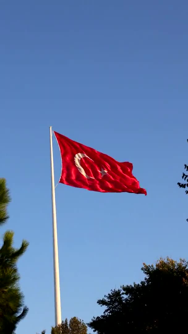 Τουρκική σημαία. Κύμα τουρκικής σημαίας κατακόρυφο βίντεο. — Αρχείο Βίντεο