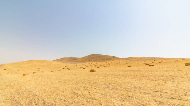 Straw bales. Newly harvested grain field and straw bales. Harvesting background photo. Agricultural fields.