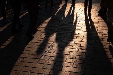 Shadows of the people on the street. Walking people's shadows at sunset. Mystery concept.