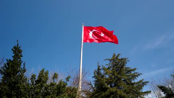 Turkse Vlag Vlag Van Turkije Wapperend Blauwe Lucht Het Bos — Stockvideo