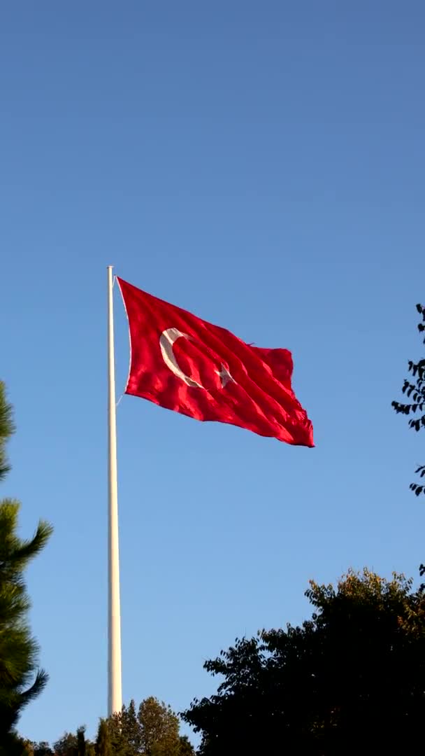 Turecká Vlajka Vertikální Video Mávání Tureckou Vlajkou Turecké Národní Dny — Stock video