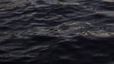 Huysuz deniz yüzeyi. Sakin dalgalarla bulanık deniz yüzeyi. Sakin su arkaplanı 4k video.