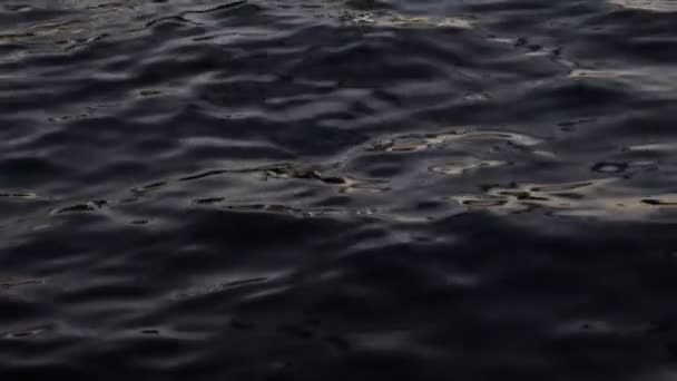 Moody Havsyta Oskärpa Havsytan Med Lugna Vågor Lugn Vatten Bakgrund — Stockvideo