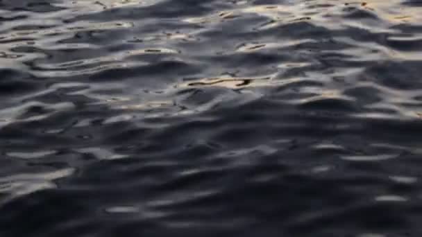 Havsyta Oskärpa Havsytan Med Lugna Vågor Vatten Bakgrund Video — Stockvideo