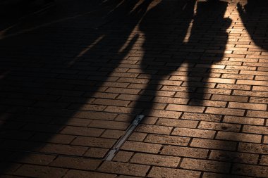 İnsanların gölgeleri. Gün batımında sokakta yürüyen insanların gölgeleri. Aşk konsepti.