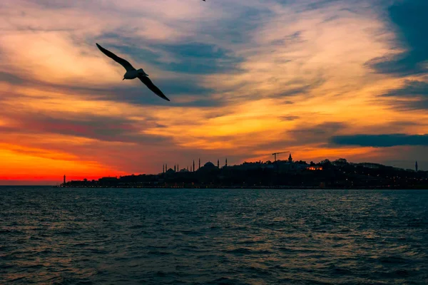 Ιστορικό Κωνσταντινούπολης Cityscape Της Κωνσταντινούπολης Ηλιοβασίλεμα Δραματικά Σύννεφα Και Γλάρος — Φωτογραφία Αρχείου