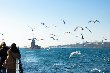 Bakire Kulesi ya da önde martıları olan Kiz Kulesi. İstanbul arka plan fotoğrafı. Türkiye 'ye seyahat kavramı. Arkaplana seçici odak.