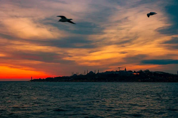 イスタンブールの日没時 イスタンブールの街並とカモメと日没の劇的な雲 背景に焦点を当てます 含まれるノイズ — ストック写真