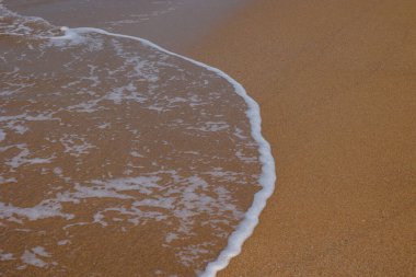 El salla ve sahile git. Kumsalda sakin bir dalga. Seyahat fotoğrafı. Tatil ya da tatil kavramı.