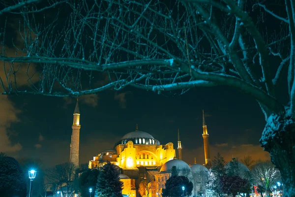 Hagia Sophia Mešita Ayasofya Zimě Noci Sněhem Pokryté Stromy Ohnisku — Stock fotografie