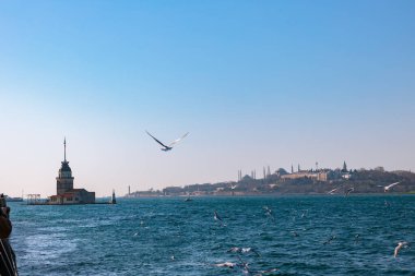 İstanbul. Bakireler Kulesi veya Kiz Kulesi ve İstanbul şehir manzarası