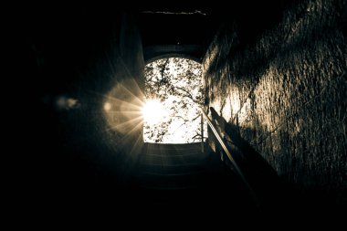 Staris 'le bahçeye açılan bir geçit. Doğrudan güneş ışığı. Cennet ya da umut kavramı. Barış arkaplanı bulunuyor.