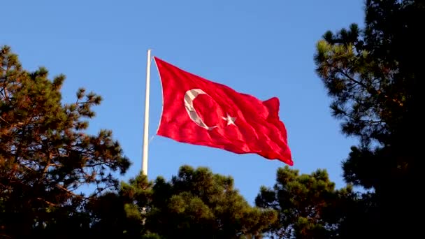 Das Schwenken Der Türkischen Flagge Zwischen Den Bäumen Türkische Nation — Stockvideo