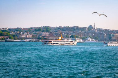 İstanbul manzaralı. Boğaz üzerinde bir feribot ve gökte bir martı.