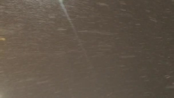 Nieve Tormenta Nieve Noche Video Vídeo Invierno Lente Destello Ruido — Vídeo de stock