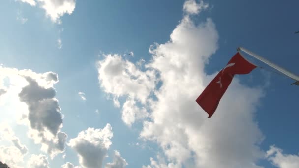 Turkiska Flaggan Viftar Molnig Himmel Bakgrund Flaggstång Turkiska Nationaldagar Eller — Stockvideo